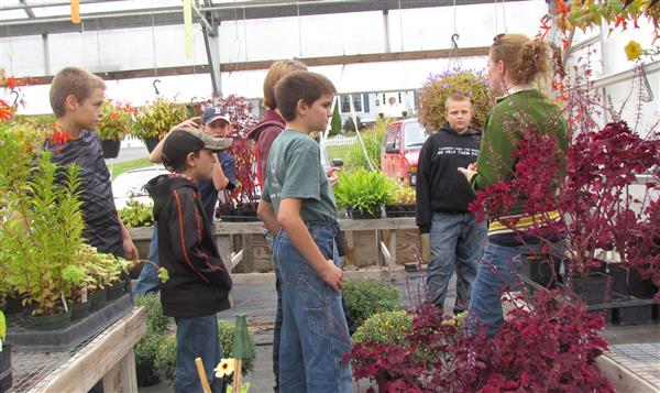 Greenhouse in Ticonderoga